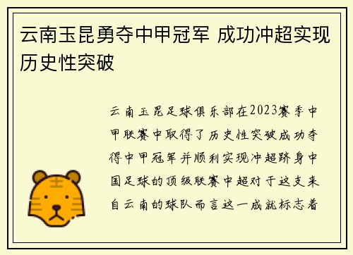 云南玉昆勇夺中甲冠军 成功冲超实现历史性突破 云南玉昆勇夺中甲冠军 成功冲超实现历史性突破